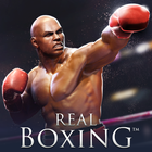 Real Boxing